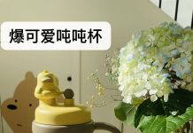 华人生活馆新品测评–北鼎 泡茶吨吨杯 800ml