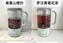 华人生活馆新品测评–Buydeem北鼎 mini便携养生壶电水壶
