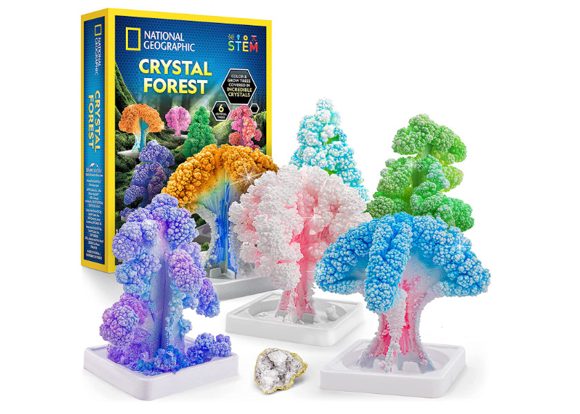 National Geographic Crystal Garden Science Kit