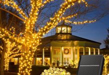 【折后$4.49 Prime包邮】太阳能户外防水串灯 40 FT 100 LED