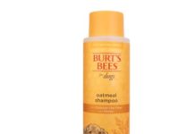 【折后$3.04 Prime包邮】Burt’s Bees 燕麦蜂蜜舒缓犬用洗毛液 16oz