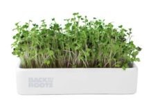 【折后$9.99 Prime包邮】Back to The Roots 有机微型蔬菜种植套装