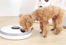 1.7折!【折后$7.99 Prime包邮】Amazon Basics 自动宠物喂食器