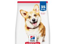 【折后$43.5 包邮】Hill’s Science Diet 希尔思成犬1–6岁小颗粒狗粮 35磅
