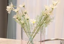 【折后$6.49 Prime包邮】透明亚克力书本花瓶