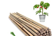 【折后$6.92 Prime包邮】天然竹制植物支撑杆16英寸 20支装