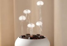 【折后$25.79 Prime包邮】水母律动香薰加湿器