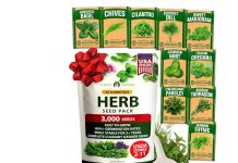 【折后$8.99 Prime包邮】香料种子套装10种