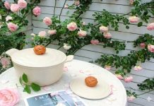 美式极简烹饪美学❗️Amercook多款锅具好折大促→低至$39.99!满$50还送$10礼卡!