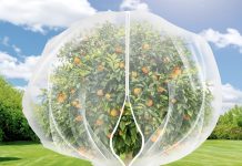 【折后$19.99 Prime包邮】7.8 x 7.8 ft 大号果蔬防虫鸟网!