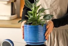 【折后$13.99 Prime包邮】加厚蓝色陶瓷花盆 带沥水托盘