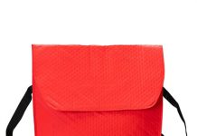 免费薅羊毛❗️DoorDash Pizza Bag 限时0元领!