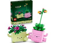 【折后$19.97 Prime包邮】LEGO 乐高 Botanical 系列摇摇植物积木 11506